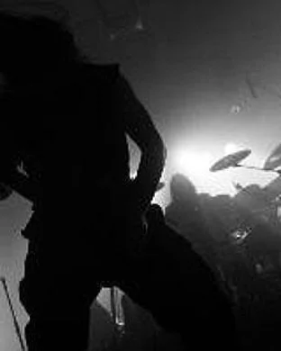 Chaos and Carnage San Antonio