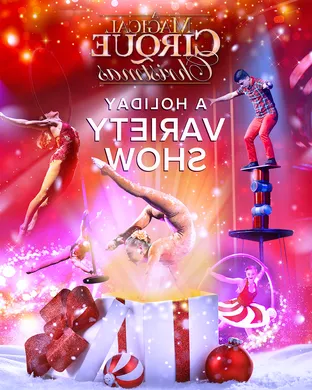 A Magical Cirque Christmas San Antonio