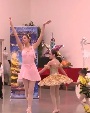 Children's Ballet Of San Antonio San Antonio