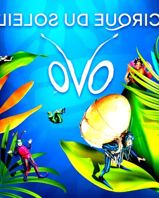 Cirque du Soleil - Ovo