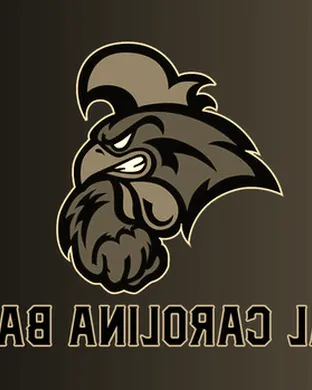Coastal Carolina Chanticleers Baseball San Antonio