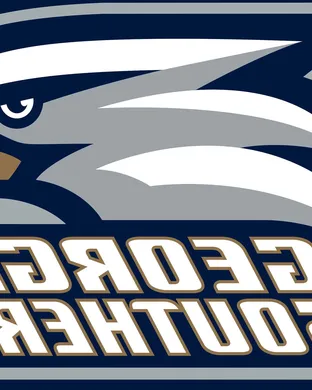 Georgia Southern Eagles Baseball San Antonio