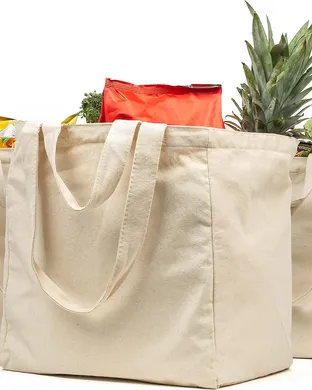 Grocery Bag San Antonio