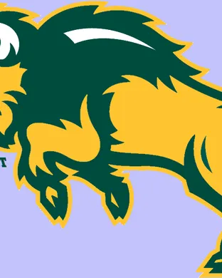 North Dakota State Bison Football San Antonio