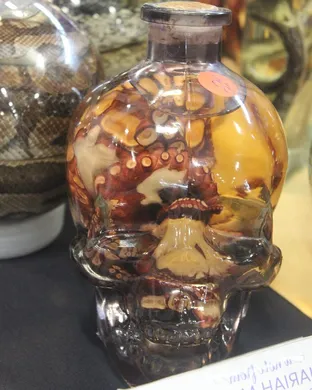 Oddities And Curiosities Expo San Antonio