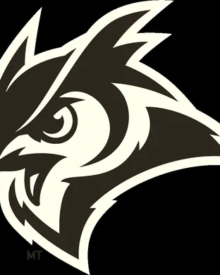 Rice Owls Football San Antonio