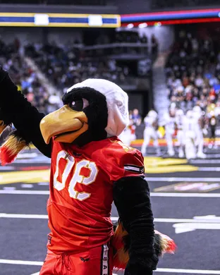 Vegas Knight Hawks San Antonio