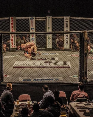 Noche UFC: Lopes vs. Silva