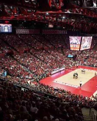 Washington State Cougars Women's Volleyball Pullman