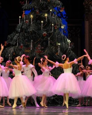 San Antonio Youth Ballet San Antonio