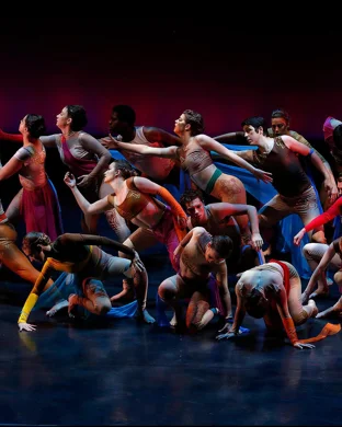Alamo City Dance Company San Antonio